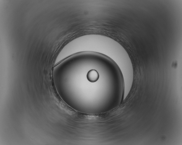 X0000115290233200911161641
