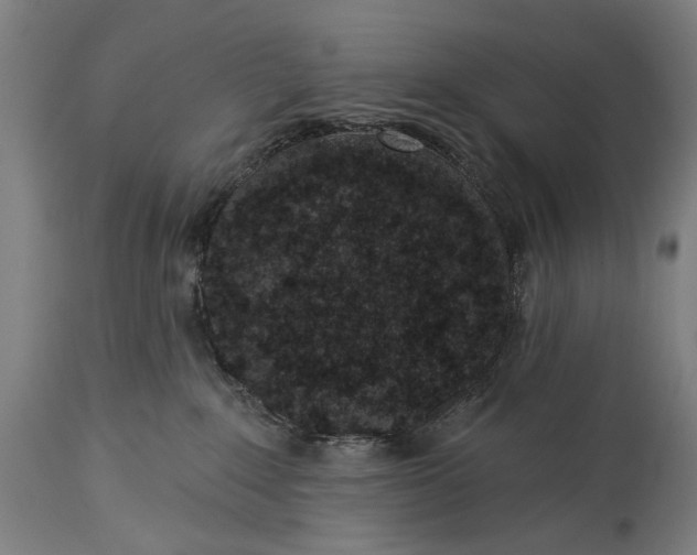X0000115290235200911161641