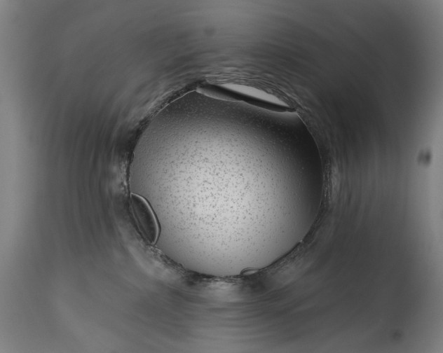 X0000115290236200911161641