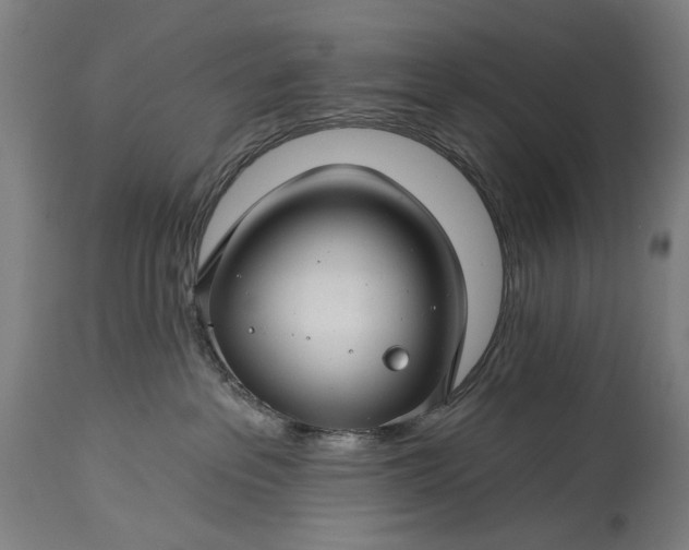 X0000115290237200911161641
