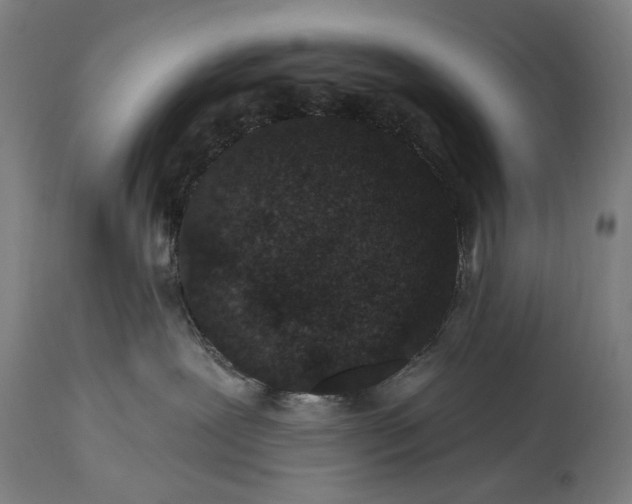 X0000115290239200911161641