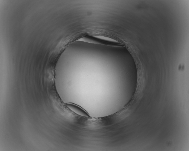 X0000115290240200911161641