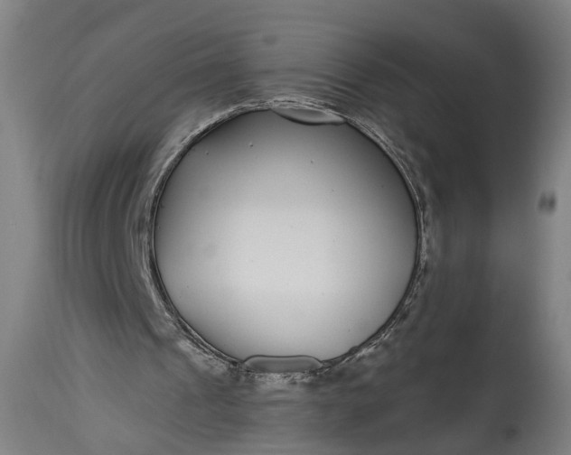 X0000115290241200911161641