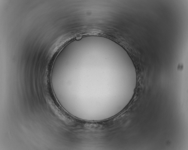 X0000115290242200911161641