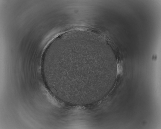 X0000115290243200911161641