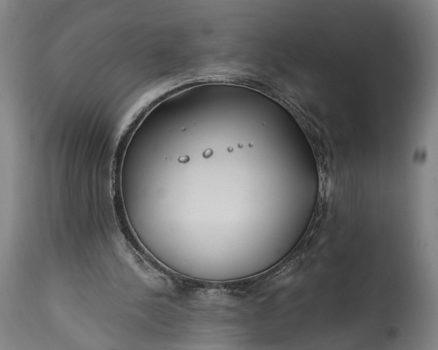 X0000115290244200911161641