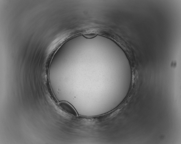 X0000115290245200911161641