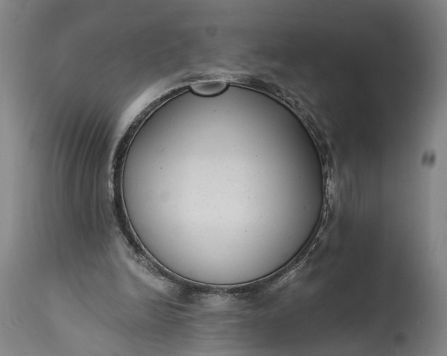 X0000115290246200911161641