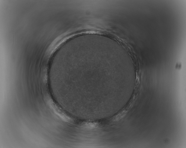 X0000115290247200911161641