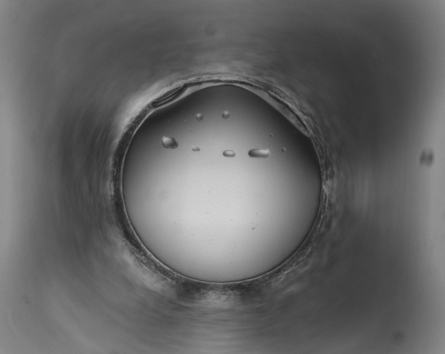 X0000115290248200911161641
