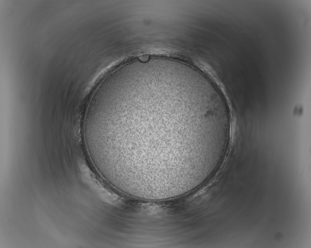 X0000115290249200911161641