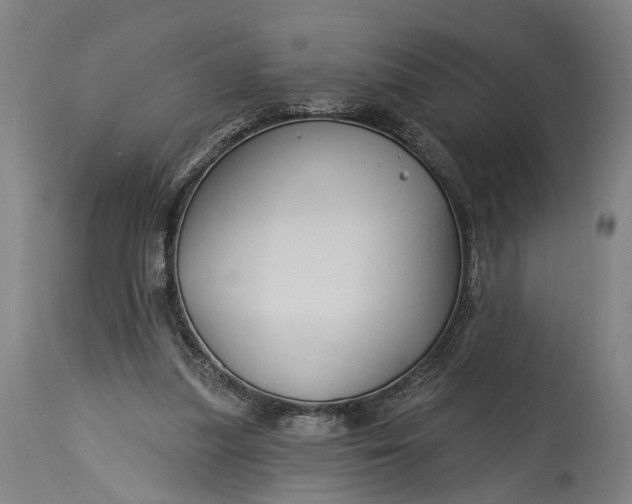 X0000115290251200911161641
