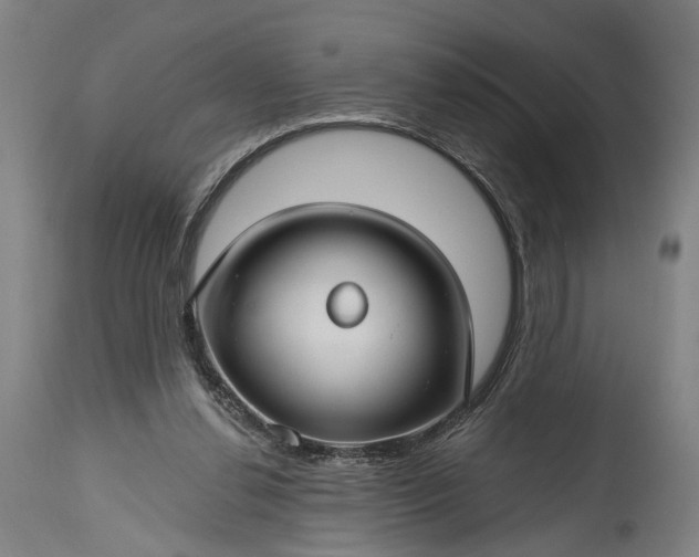X0000115290252200911161641