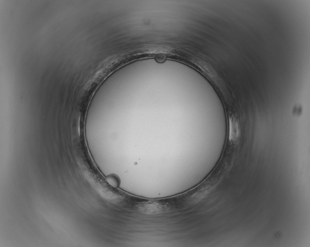 X0000115290253200911161641