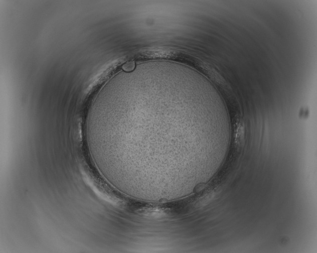 X0000115290254200911161641