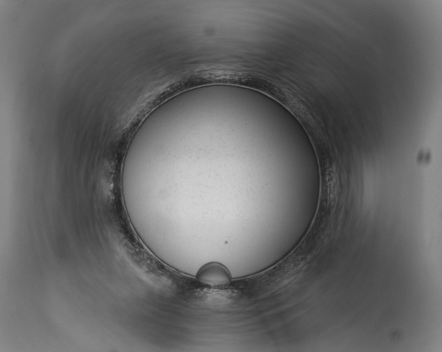 X0000115290255200911161641