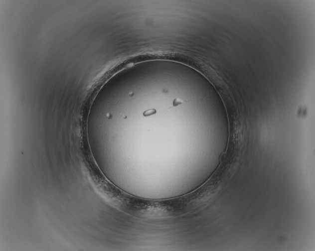 X0000115290256200911161641