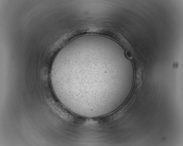 X0000115290257200911161641