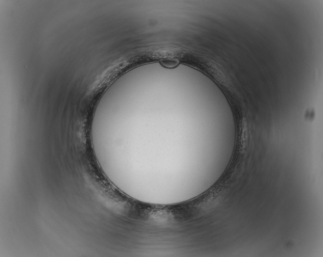 X0000115290258200911161641