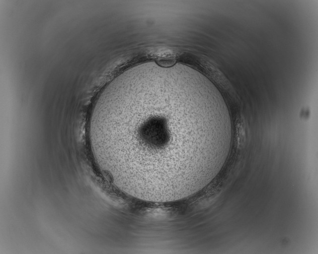 X0000115290259200911161641