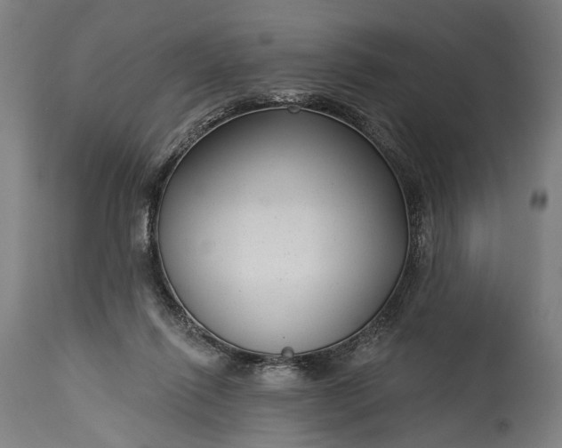 X0000115290262200911161641