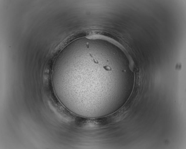 X0000115290263200911161641