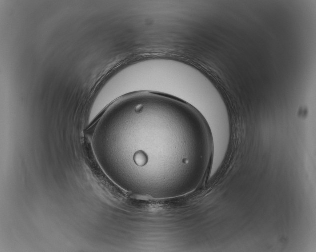 X0000115290264200911161641