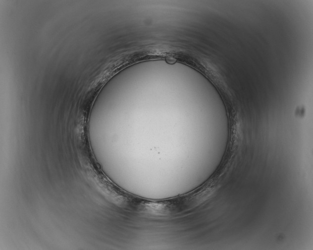 X0000115290265200911161641