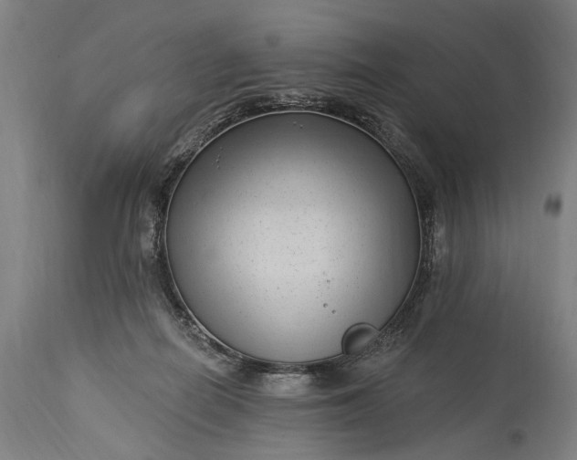 X0000115290266200911161641