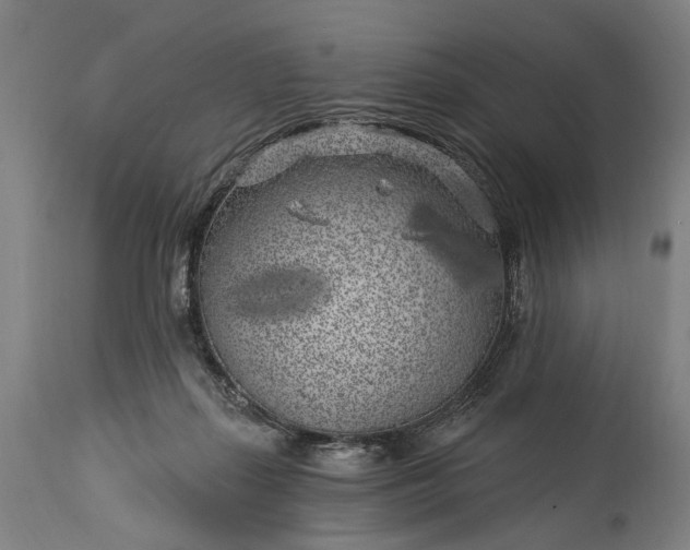 X0000115290267200911161641