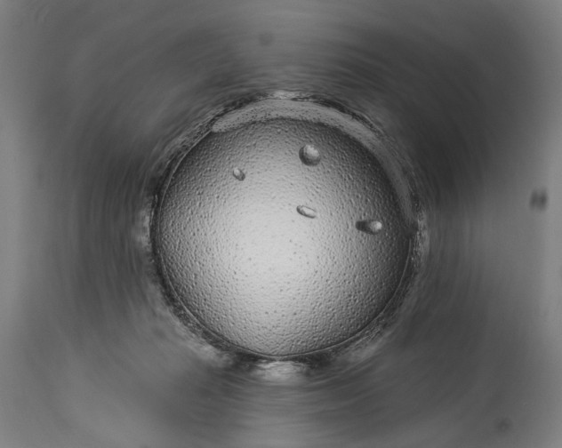X0000115290269200911161641