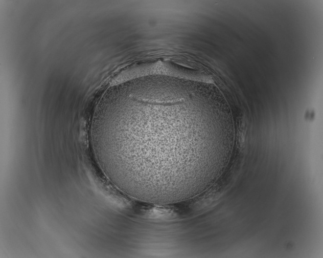 X0000115290270200911161641