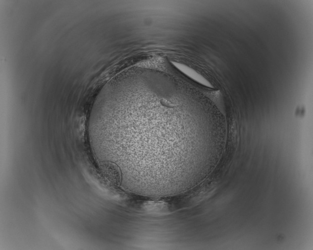 X0000115290271200911161641