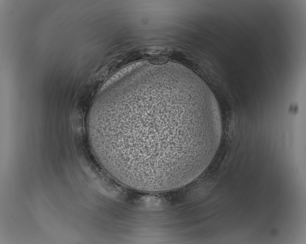 X0000115290272200911161641