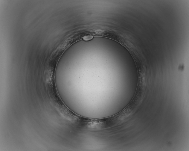 X0000115290274200911161641