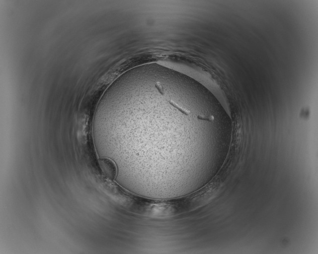 X0000115290275200911161641