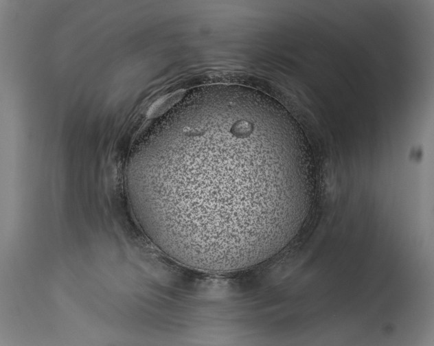 X0000115290276200911161641
