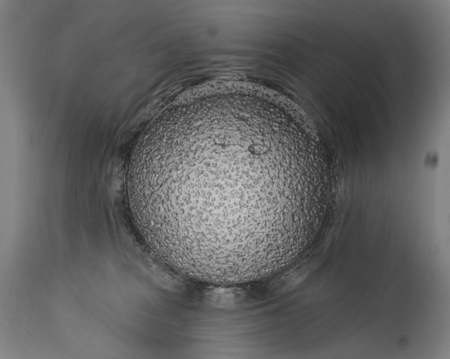 X0000115290277200911161641