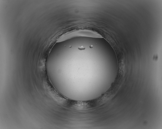 X0000115290278200911161641