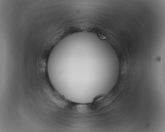 X0000115290279200911161641