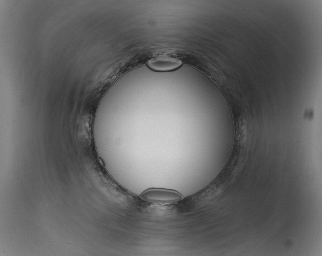 X0000115290280200911161641