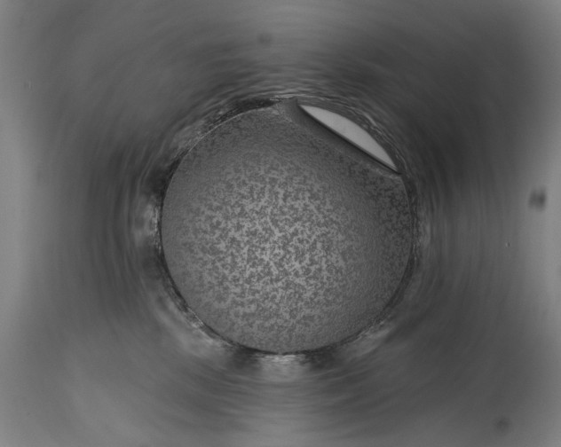 X0000115290281200911161641