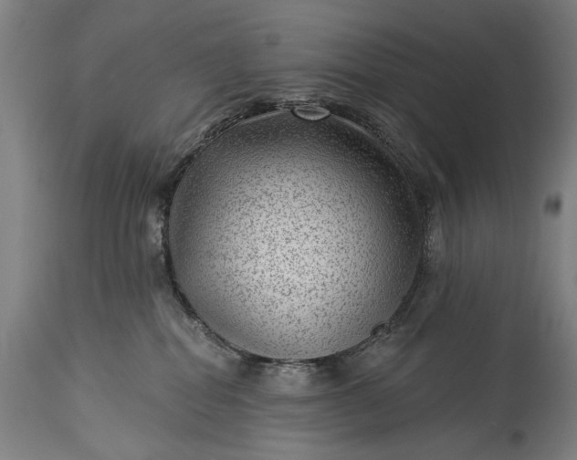 X0000115290282200911161641