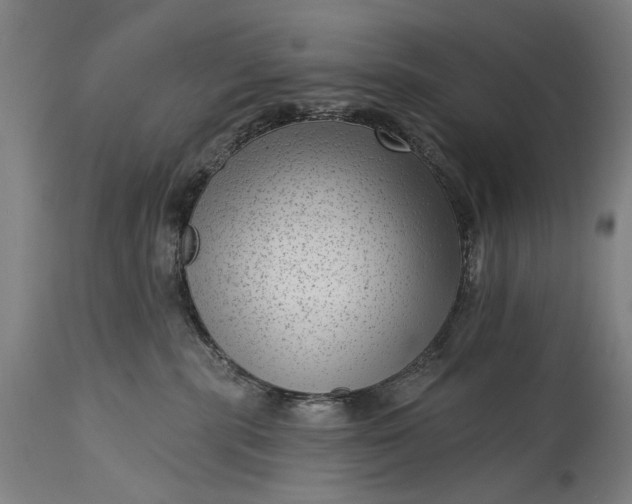 X0000115290283200911161641