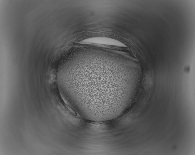 X0000115290284200911161641
