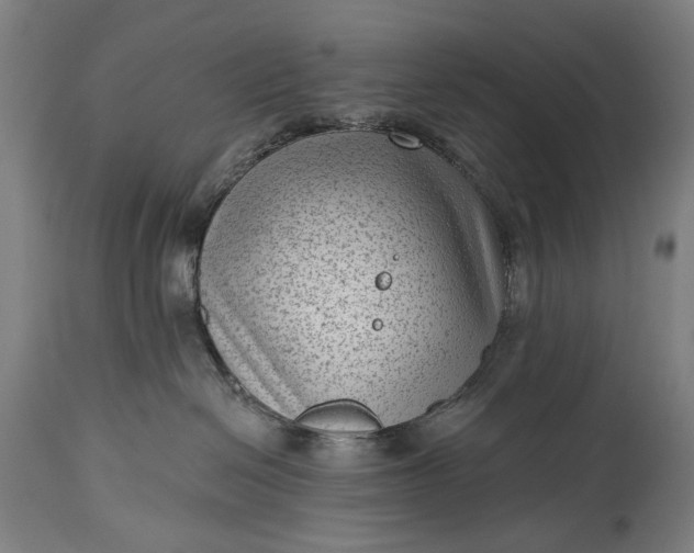 X0000115290286200911161641