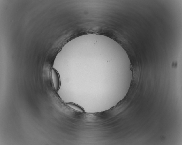 X0000115290287200911161641