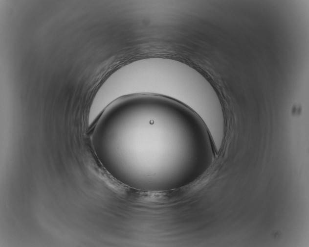 X0000115290288200911161641