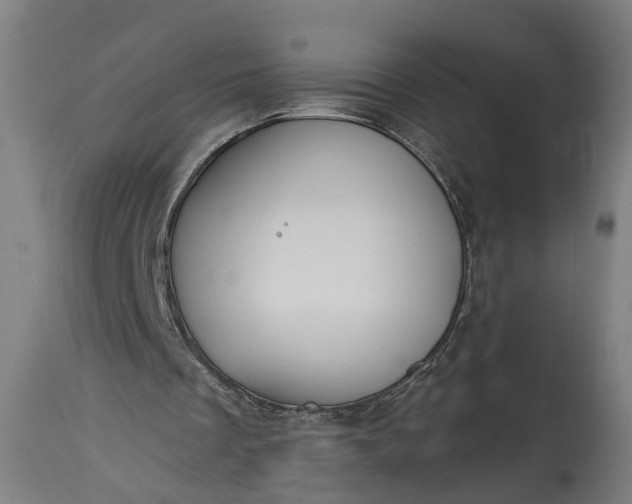 X0000115290289200911161640