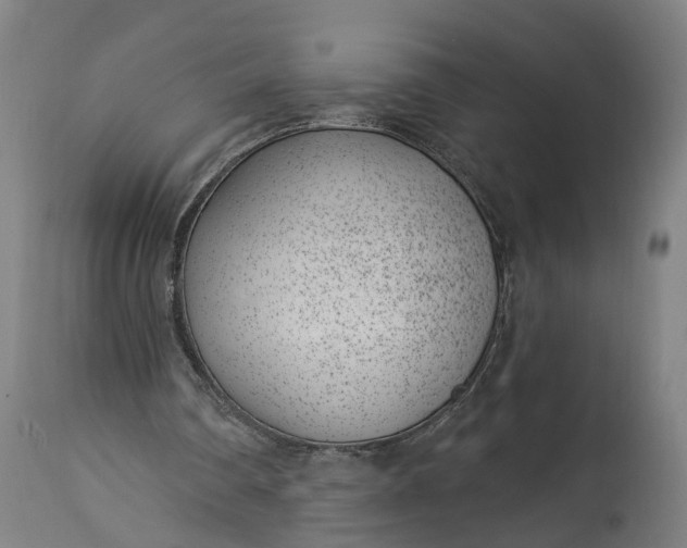 X0000115290290200911161640
